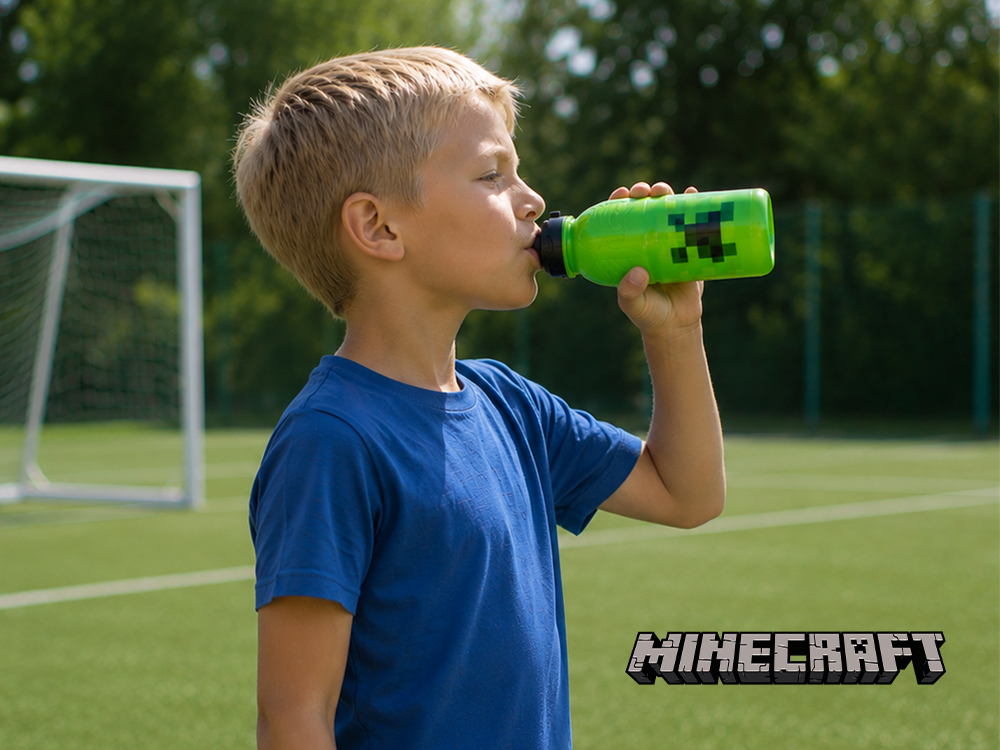 Minecraft školski program