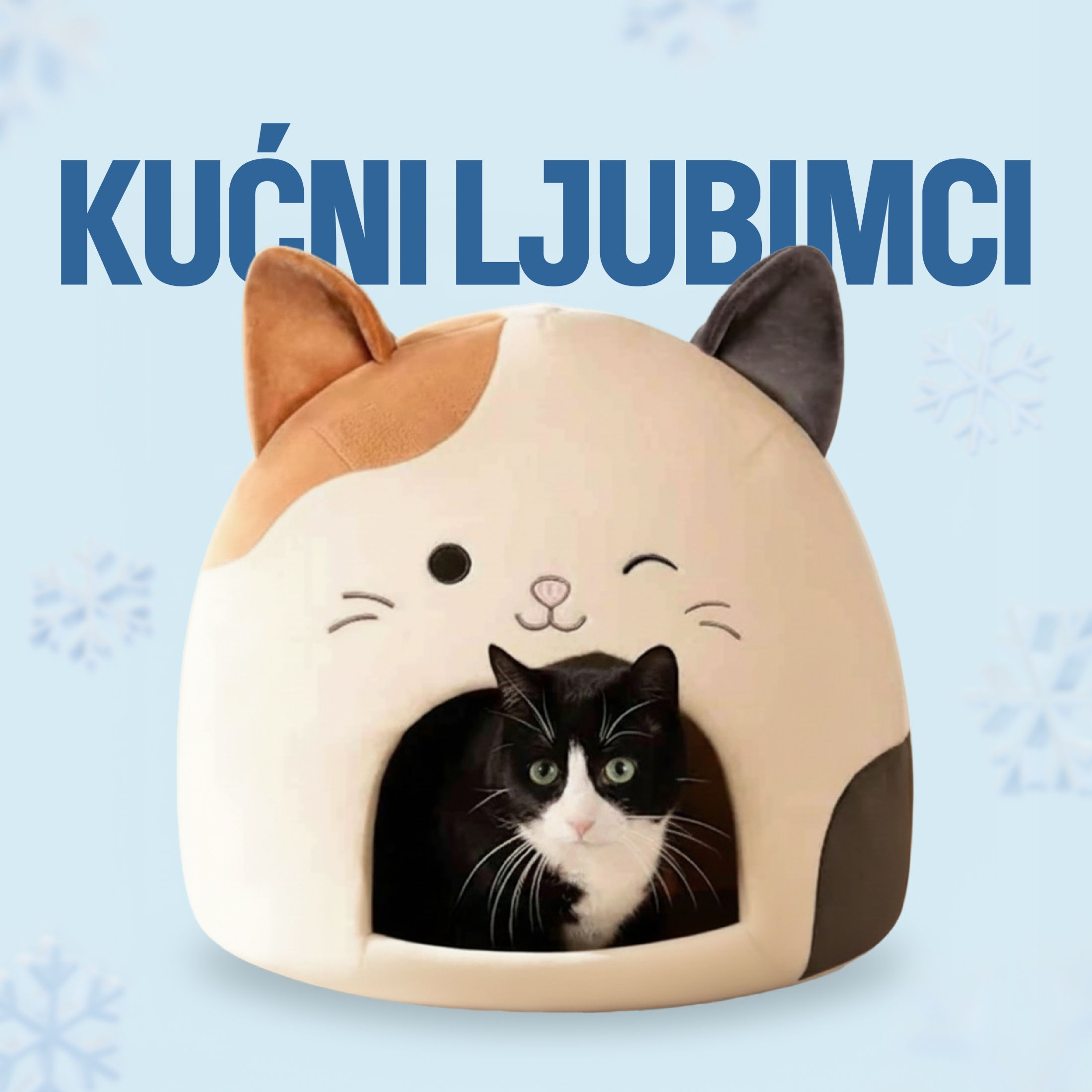  Za ljubimce na akciji