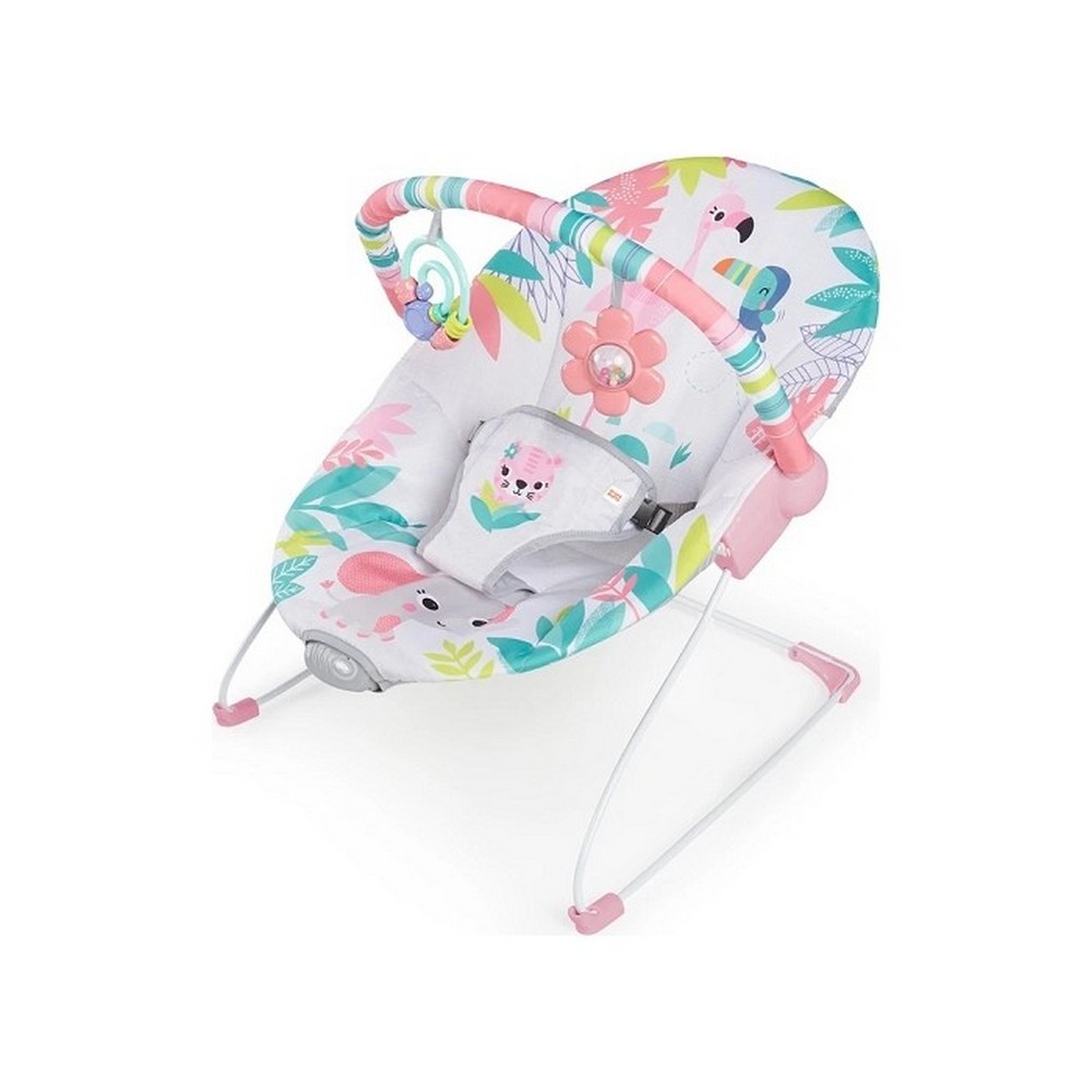 bright starts flamingo vibes