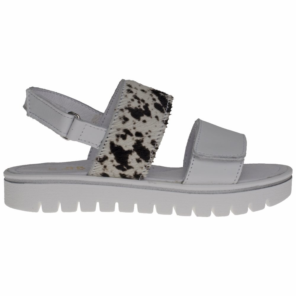 2896-BIANCO SANDALA