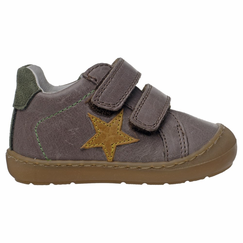 POLLINO CIPELE BROWN