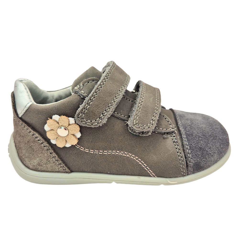 POLLINO CIPELE GRIGIO 