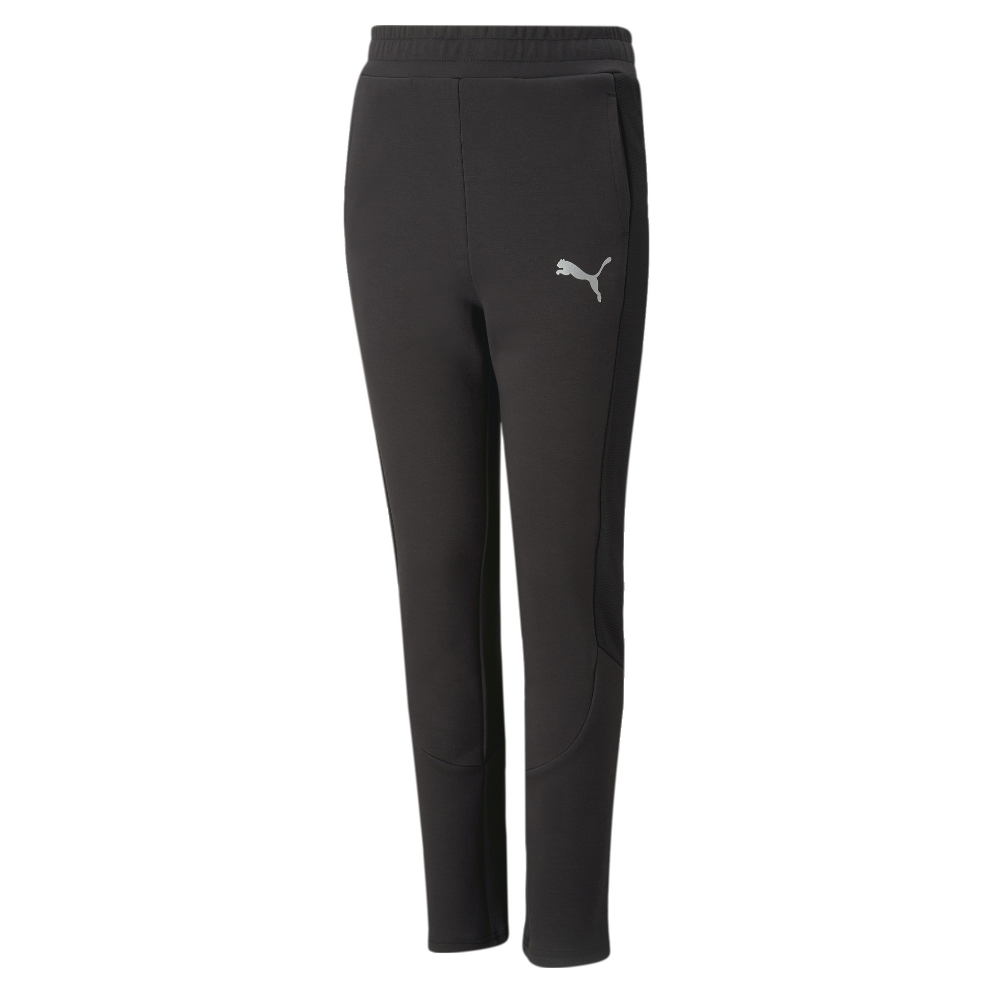 PUMA DONJI DEO EVOSTRIPE 