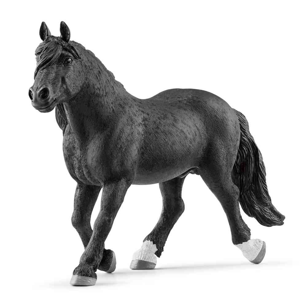 SCHLEICH PASTUV NORIKER 