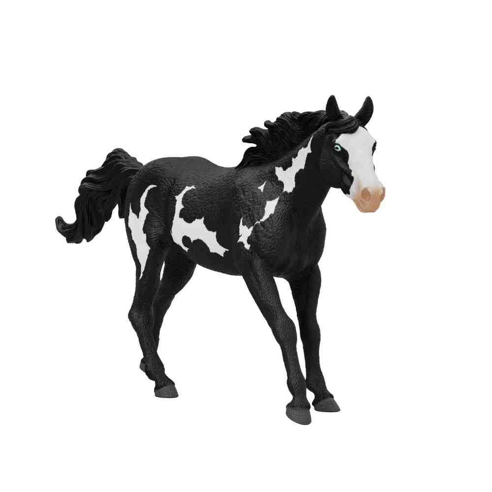 SCHLEICH PAINT KONJ PASTUV 