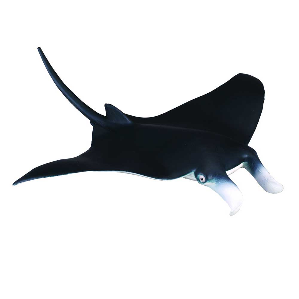 COLLECTA MANTA RAY 