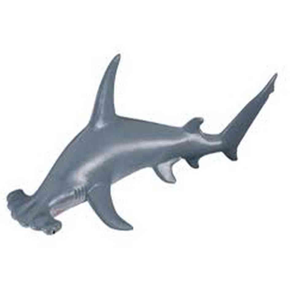 COLLECTA AJKULA CEKICARA