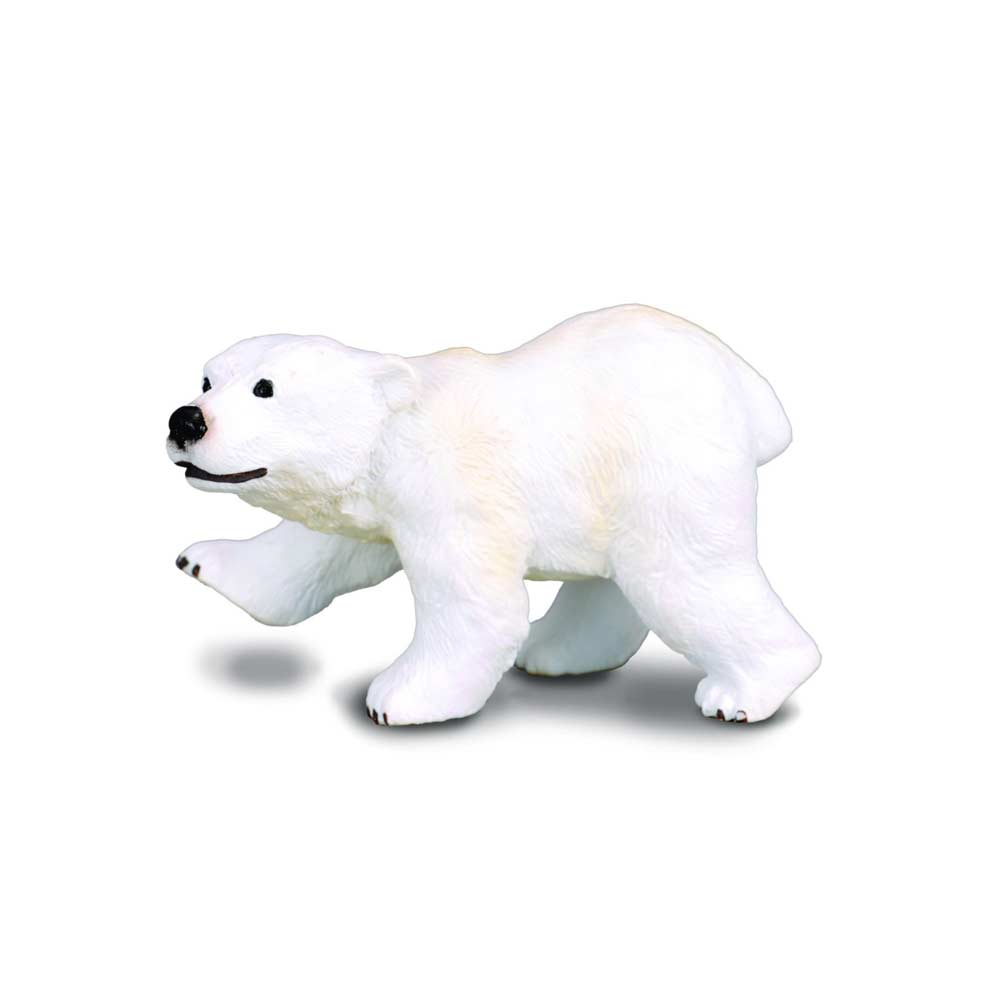 COLLECTA BELI MEDVED