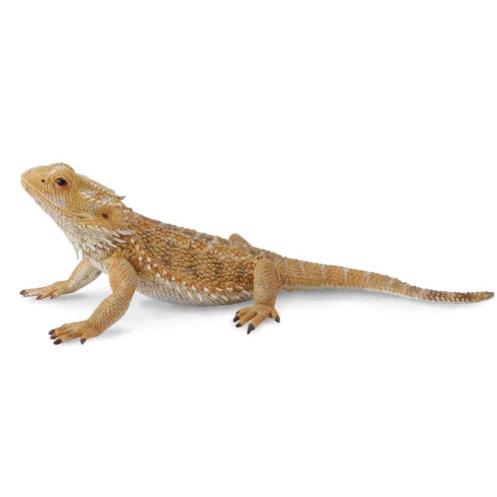 COLLECTA BEARDED DRAGON LIZARD 