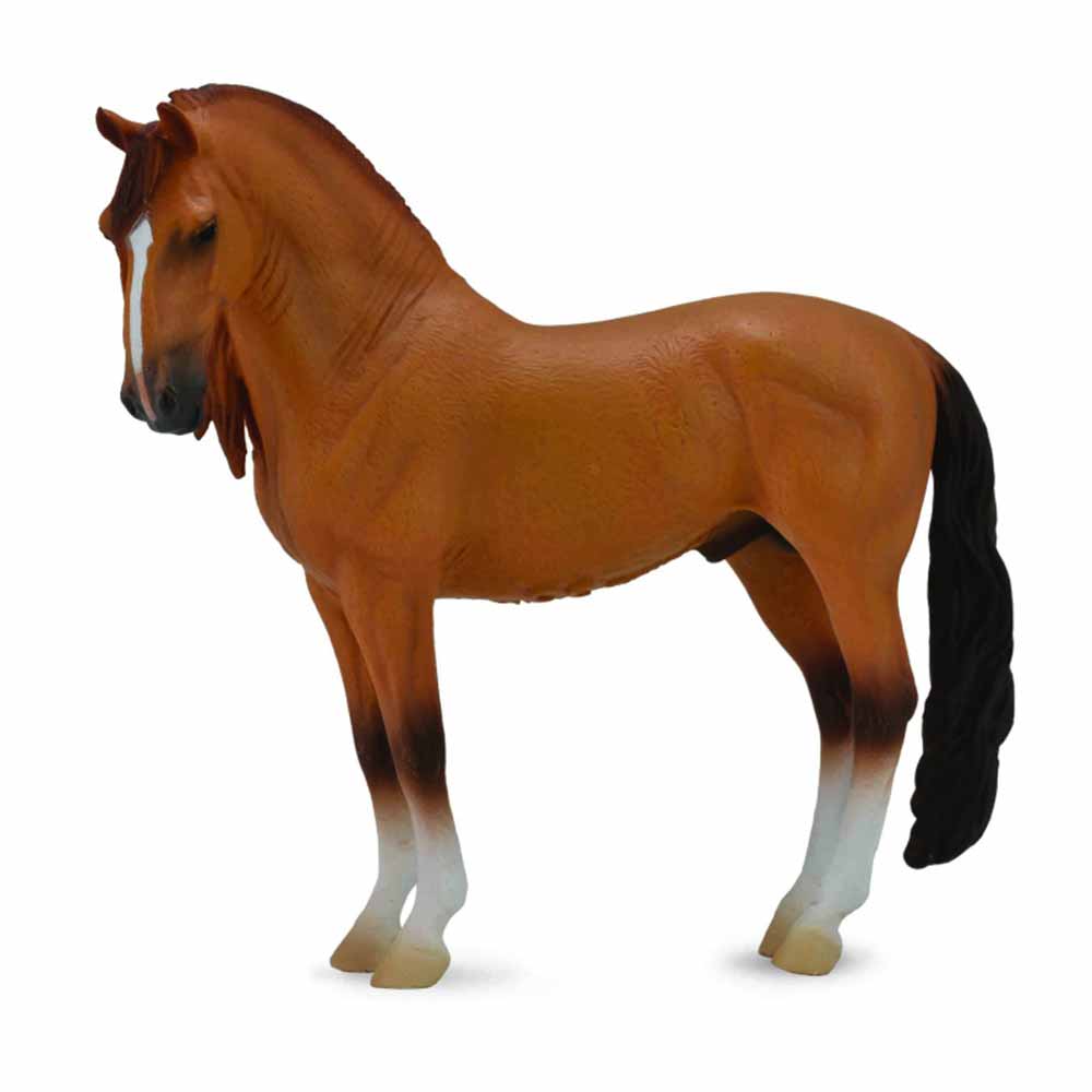 COLLECTA KONJ
