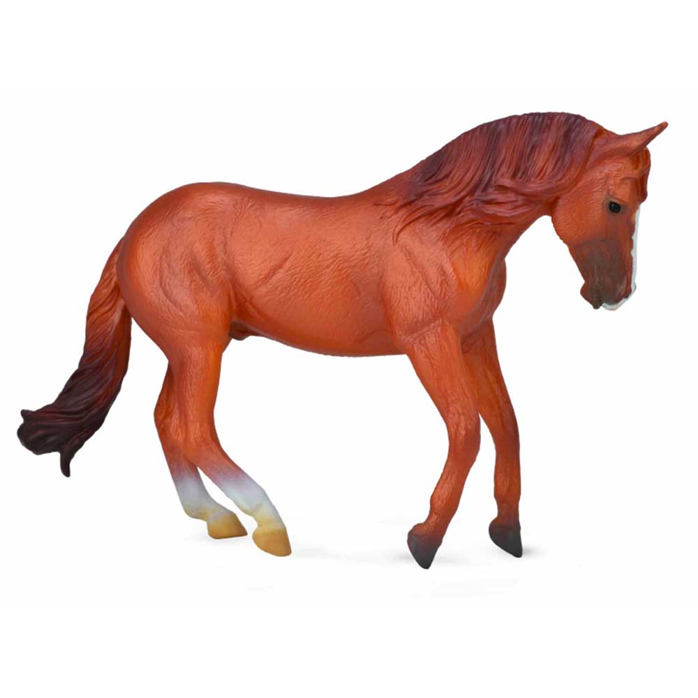 COLLECTA AUSTRALIAN STOCK HORSE STALLION-CHESTNUT  15cm X 10cm 