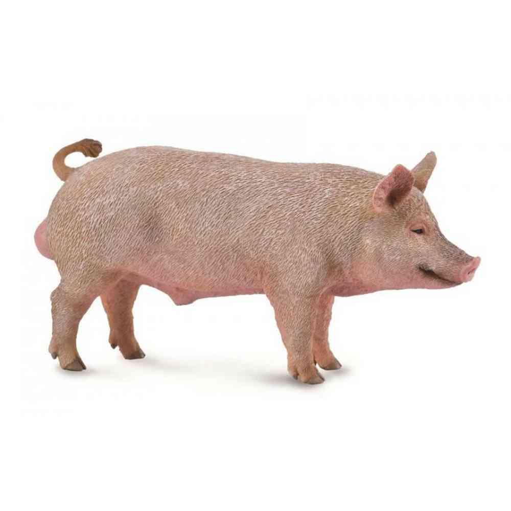 COLLECTA VEPAR