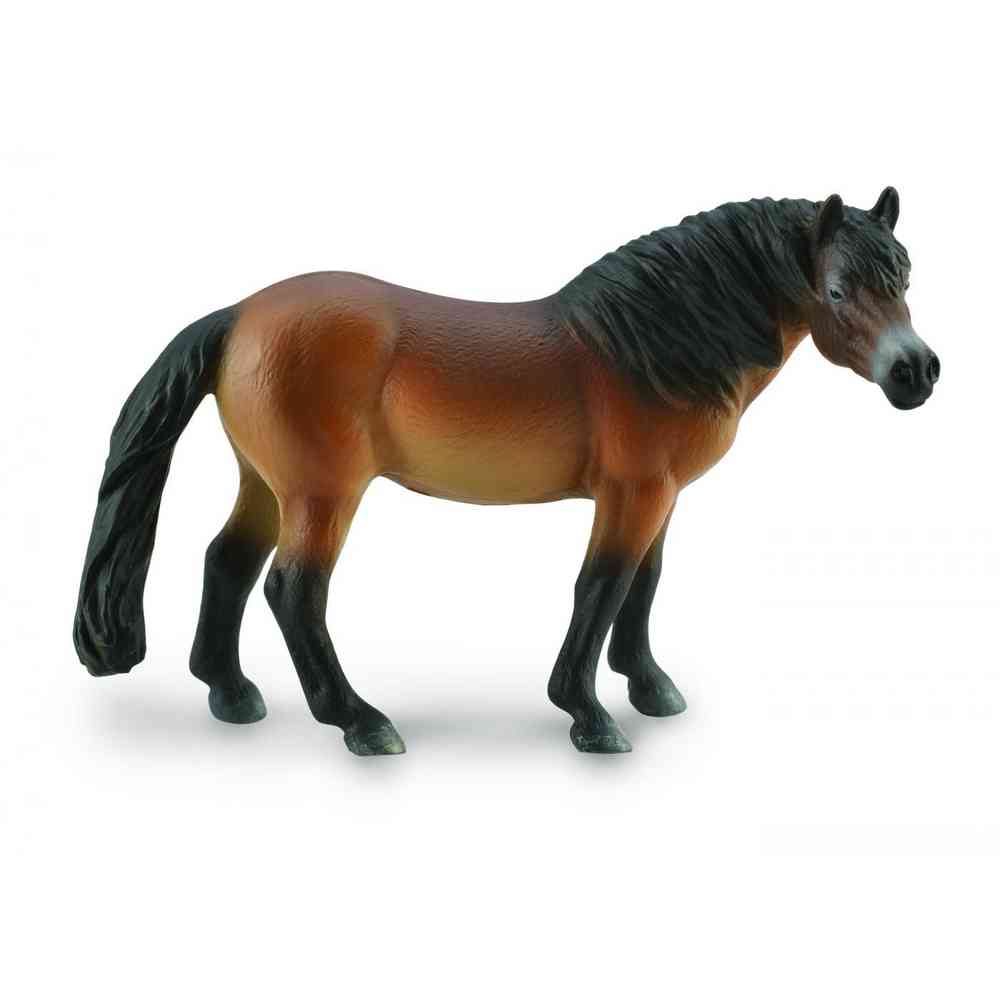 COLLECTA EXMOOR PONI