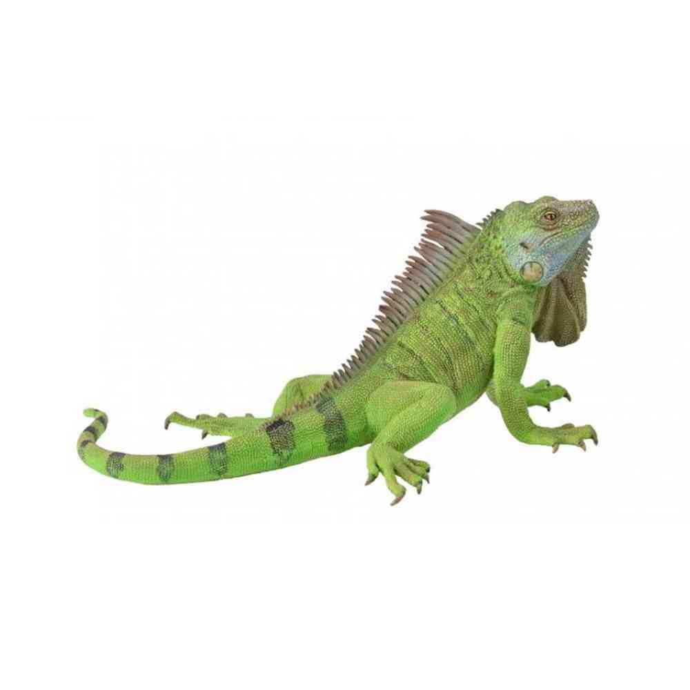 COLLECTA IGUANA (GREEN IGUANA) 