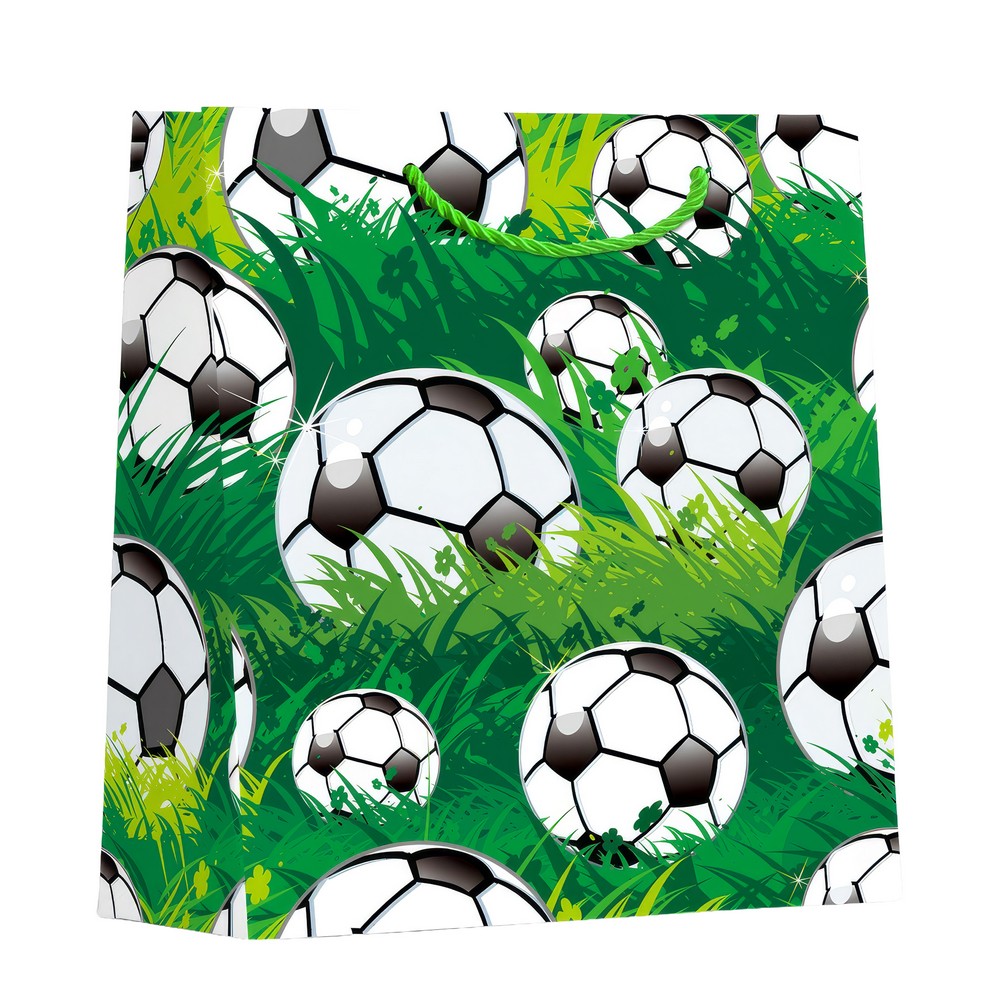 UKRASNA KESA SREDNJA FOOTBALL ASST 