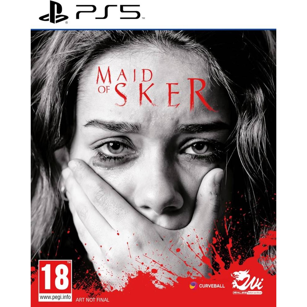 PS5 MAID OF SKER 