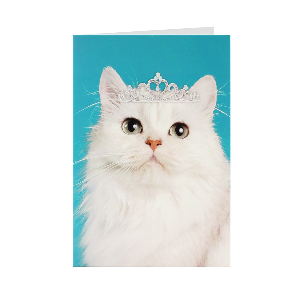 CESTITKA HAPPY BIRTHDAY CAT