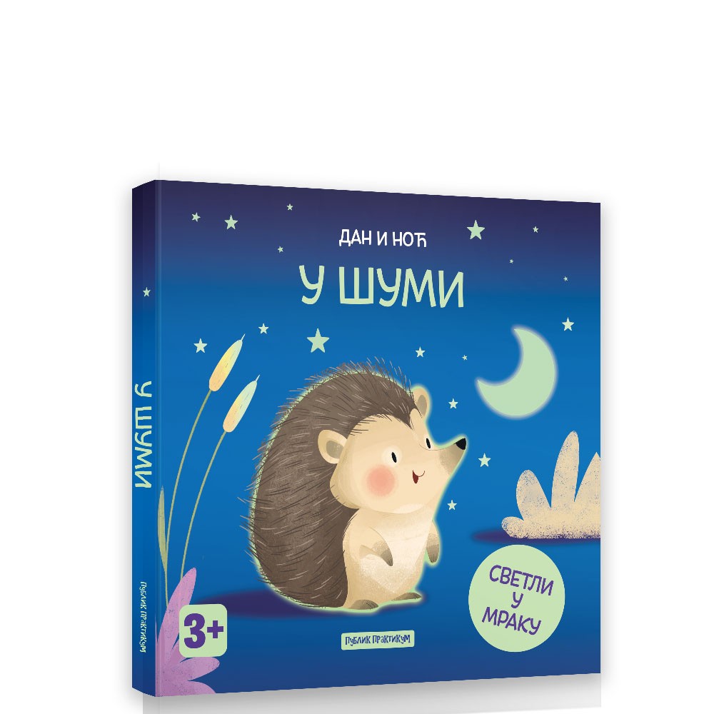 DAN I NOC - U SUMI SASSI 