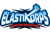 Elastikorps