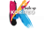 Korifeo Smile up