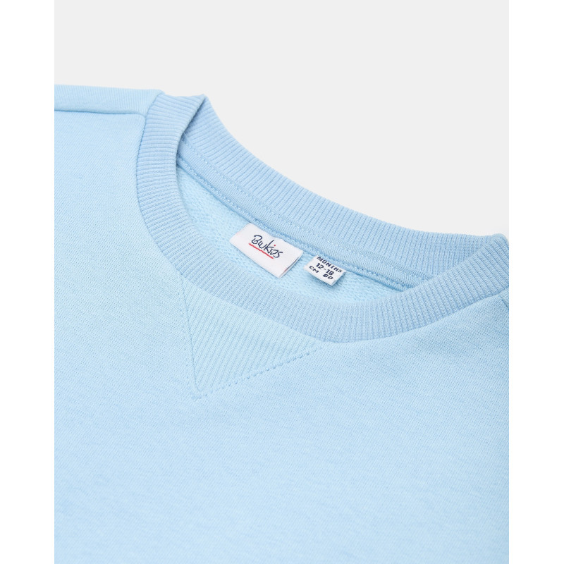 BLUKIDS DUKS SWEATSHIRT