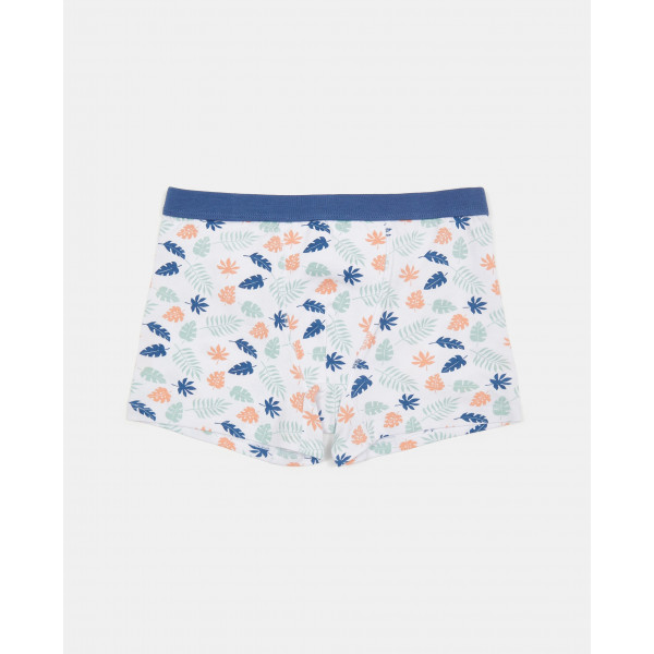 BLUKIDS GACICE BOXER PK 3 AOP BOXER 9/14