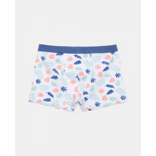 BLUKIDS GACICE BOXER PK 3 AOP BOXER 2/8