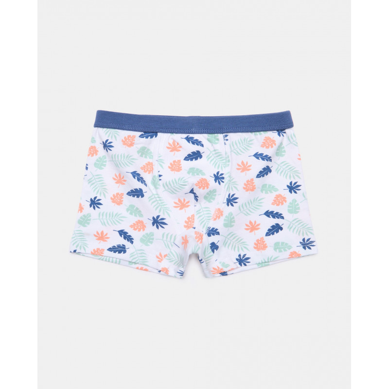 BLUKIDS GACICE BOXER PK 3 AOP BOXER 2/8