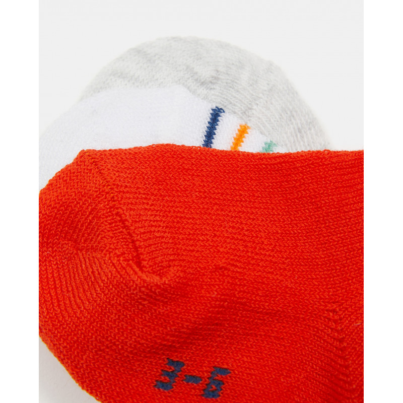 BLUKIDS CARAPE PK3 BOY EXTRA SOCKS