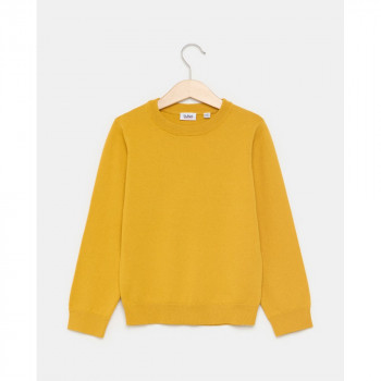 BLUKIDS DZEMPER CHAI TEA 