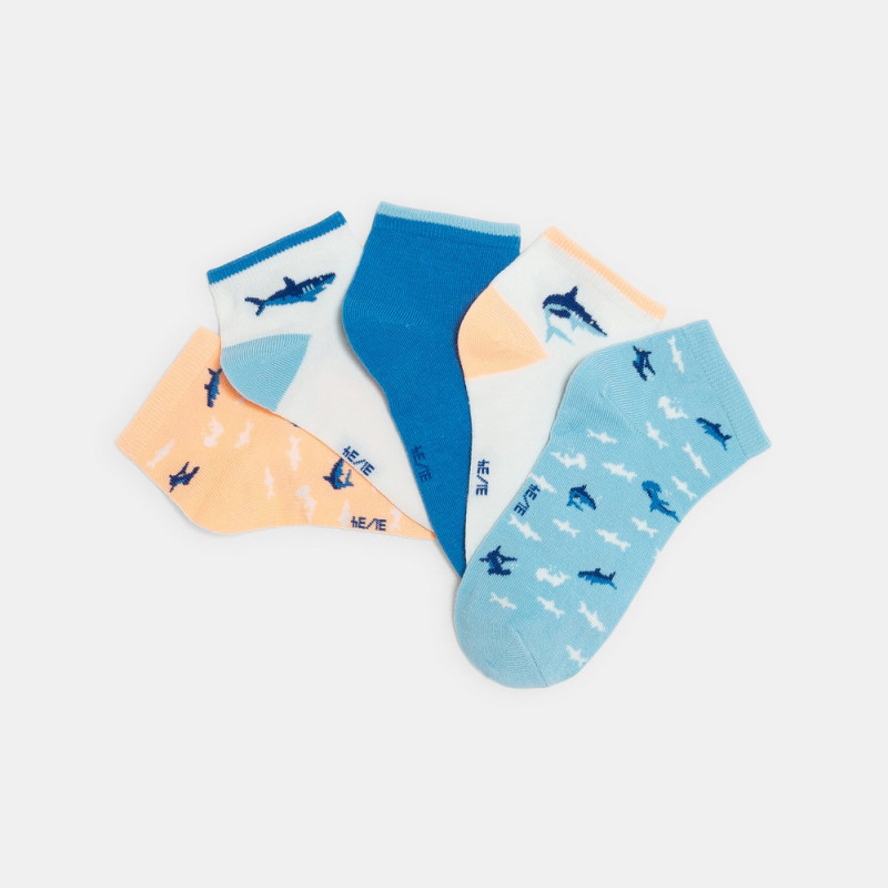 OKAIDI CARAPE ZA DECAKE CELETE 5KOM 