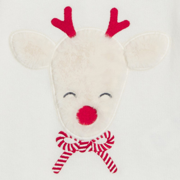 OBAIBI DZEMPER DARCY 