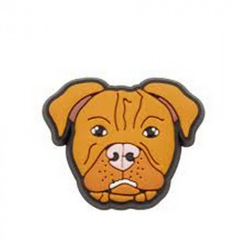 CROCS PITBULL 