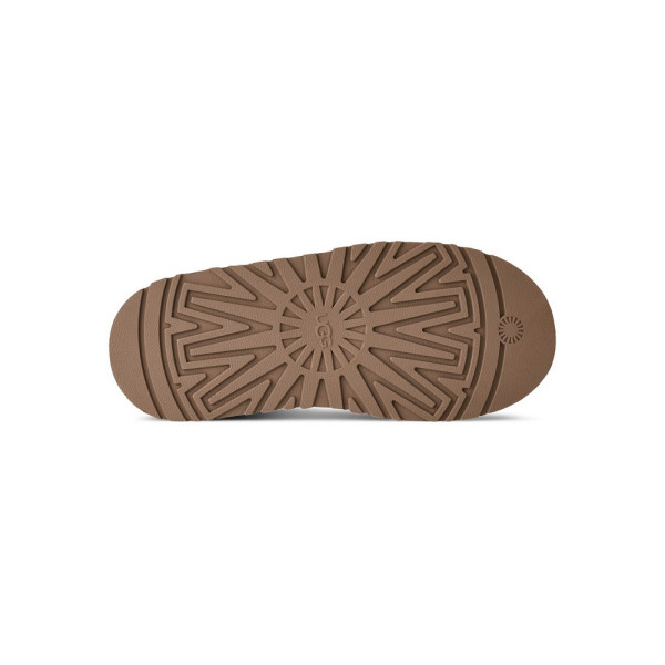 UGG TAZZ PAPUCE 1174471 W TAZZ II CHE 
