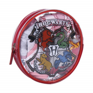 CERDA HARRY POTTER SET (GACICE I CARAPE)