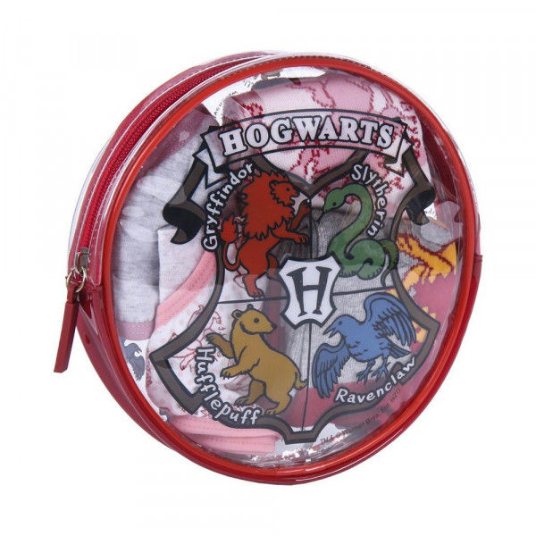 CERDA HARRY POTTER SET (GACICE I CARAPE)