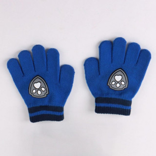CERDA SET KAPA SAL I RUKAVICE PAW PATROL 