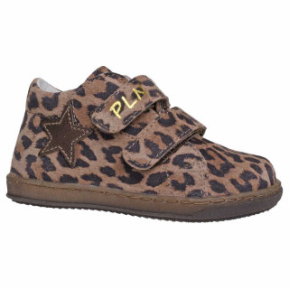 POLLINO CIPELA 28053Q JAGUAR BORDO