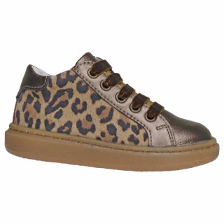 POLLINO CIPELA 28123R JAGUAR BROWN