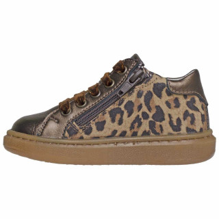 POLLINO CIPELA 28123R JAGUAR BROWN 