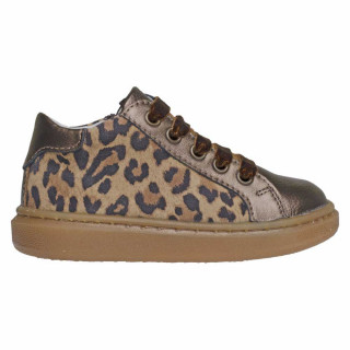 POLLINO CIPELA 28123R JAGUAR BROWN 