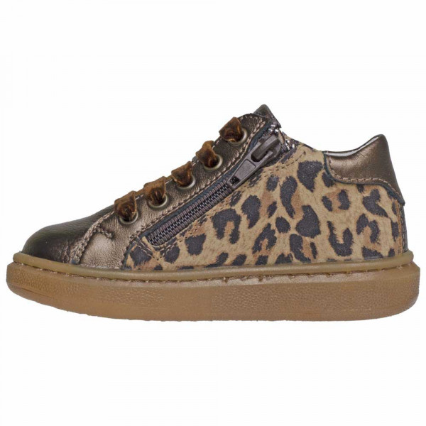 POLLINO CIPELA 28123R JAGUAR BROWN