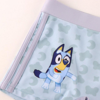 CERDA KUPACE GACICE BLUEY 