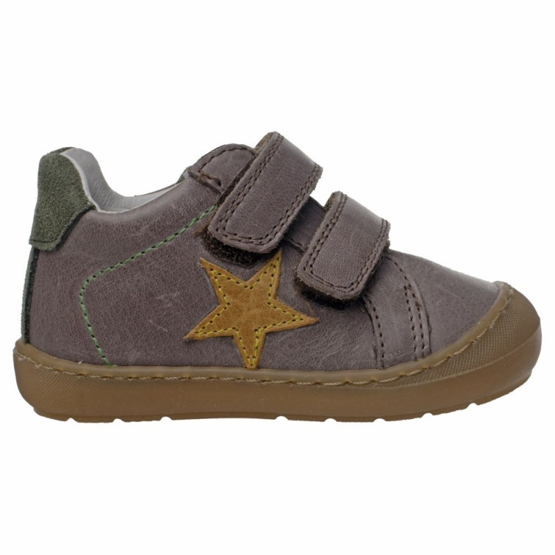 POLLINO CIPELE BROWN