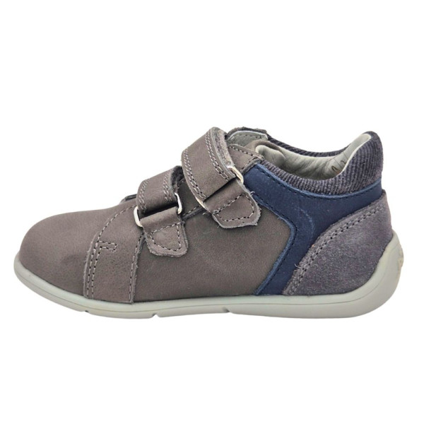 POLLINO CIPELE GRIGIO 