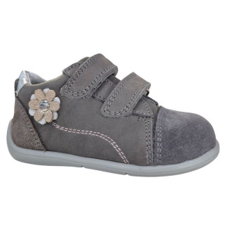POLLINO CIPELE GRIGIO 