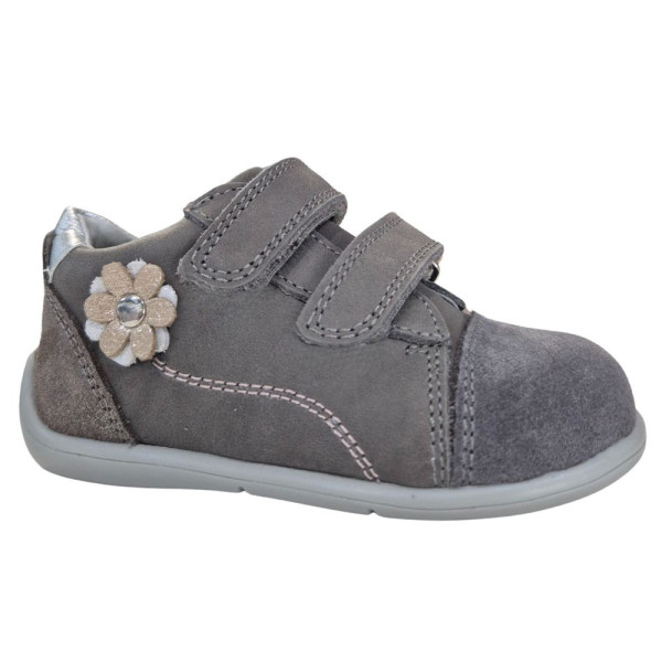 POLLINO CIPELE GRIGIO 