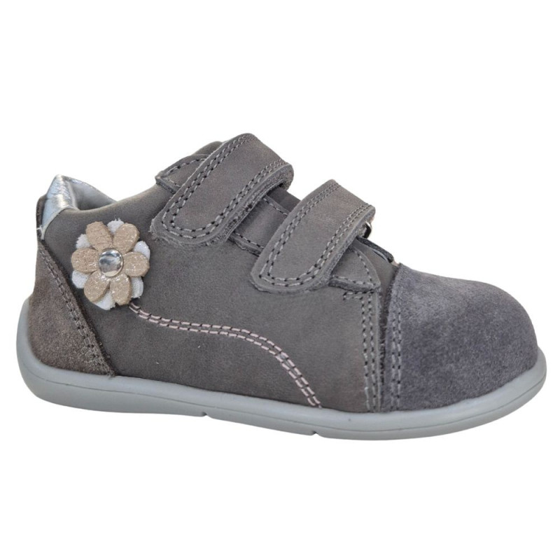 POLLINO CIPELE GRIGIO 