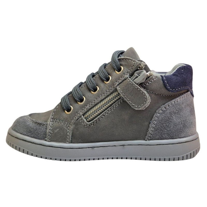 POLLINO CIPELE GRIGIO 