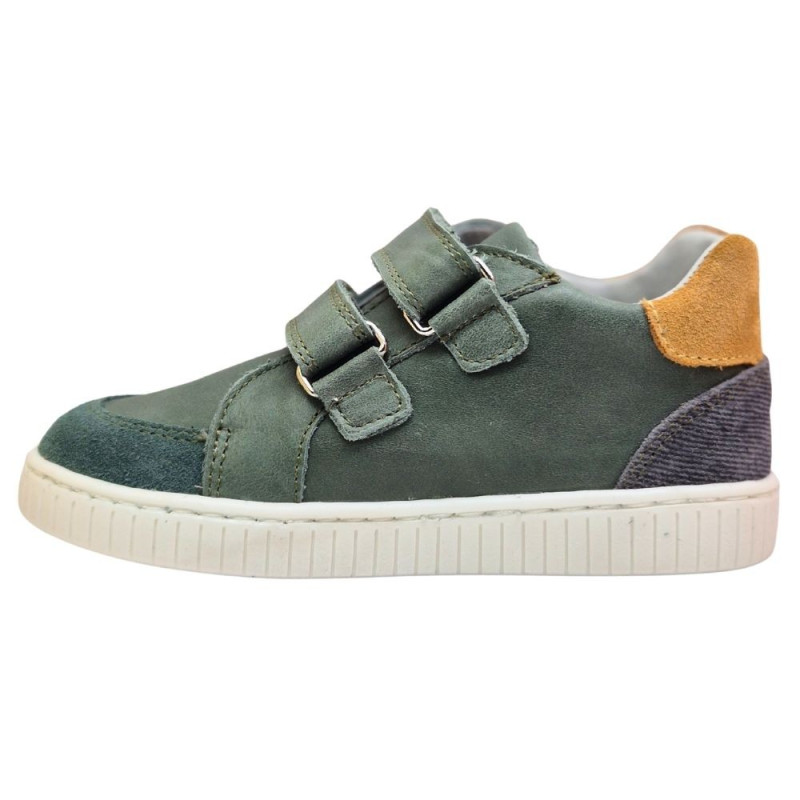 POLLINO CIPELE GREEN 